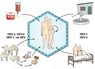 1663567716599763.png 图片4.png